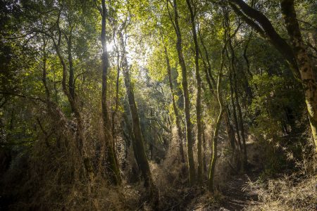 Logran acuerdo para reformar el financiamiento de la conservación de la naturaleza