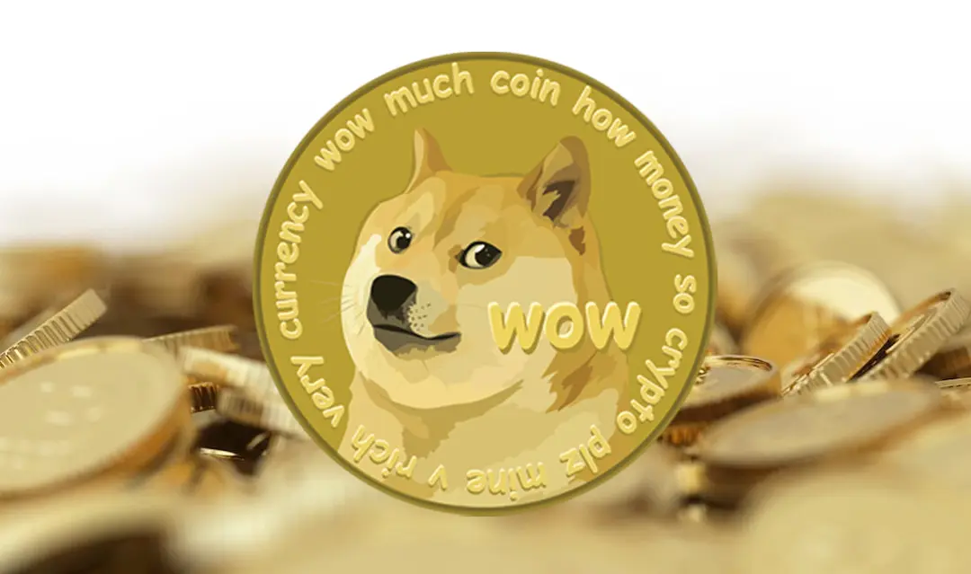 DOGE: un concepto popularizado por Elon Musk