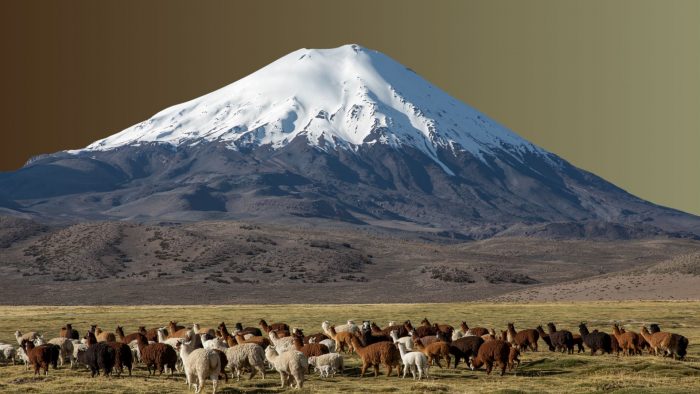 Naturaleza y cultura deben ir de la mano para conservar los humedales del Altiplano