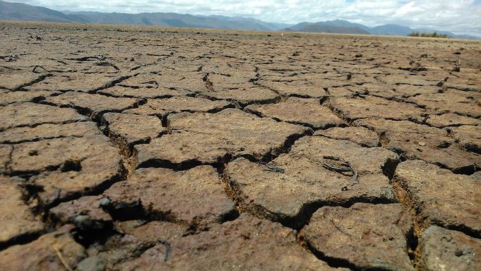 Aumento de la desertificación: "Se necesitan nuevas inversiones para alcanzar la seguridad hídrica"