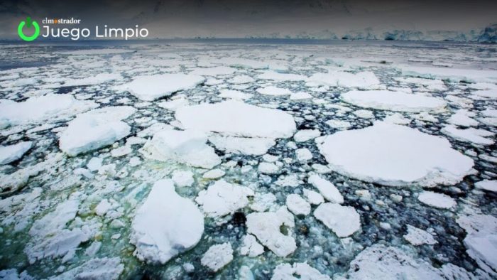 Experto en ciencia antártica: "La disminución del hielo marino es altamente compleja" (JUEGO LIMPIO)