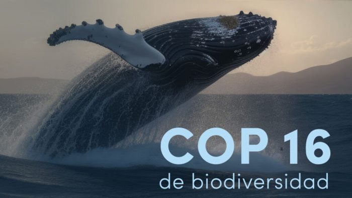 Expertos del IEB y los desafíos de Chile para la Cop 16 (JUEGO LIMPIO)