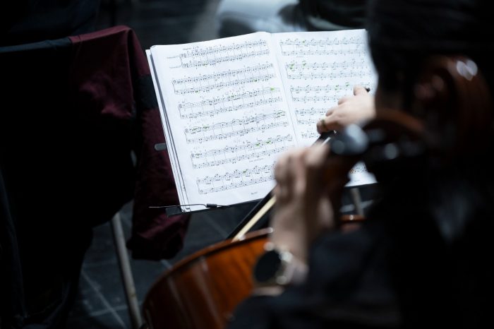 Orquesta de cuerdas brasileña realiza concierto gratuito en Providencia