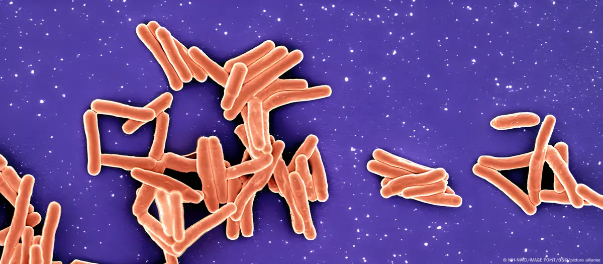 Las ocho bacterias más peligrosas del mundo