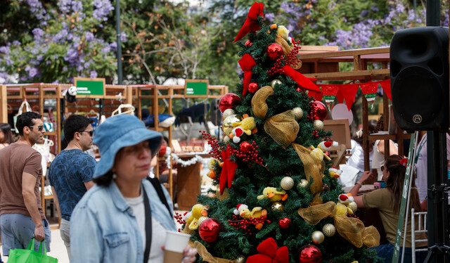 Por feria navideña: bancada RN pide a Contraloría fiscalizar trato directo con cargo a Presidencia