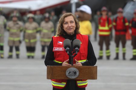 Directora de Conaf y nuevos detenidos por incendios: "Siempre hubo sospechas"