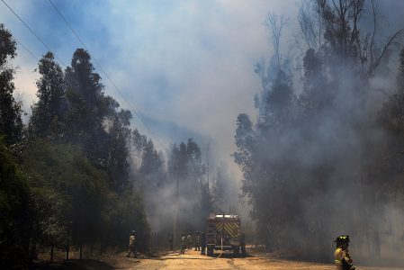 Entre Coquimbo y La Araucanía: Conaf activa 'botón rojo' por probabilidad de incendios forestales