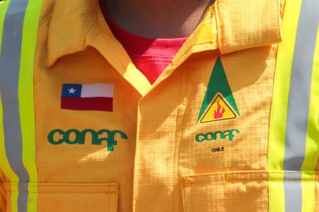 Gobierno anuncia reestructuración de Conaf y endurecimiento del proceso de selección de brigadistas