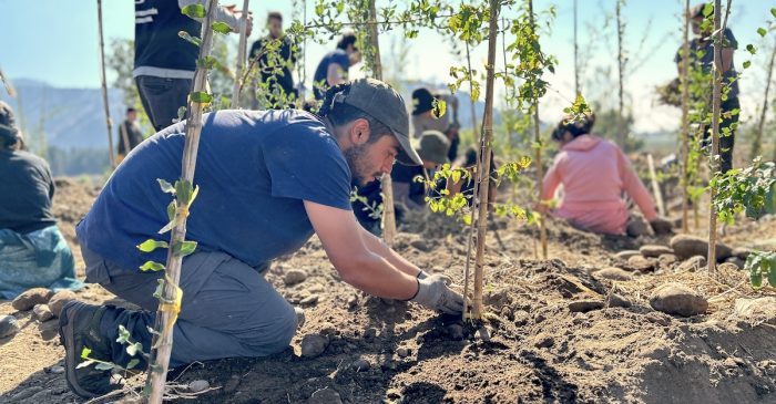 Restauración ecológica y movilización comunitaria transforma la ribera del río Mapocho en Talagante