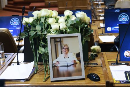 Cámara rindió minuto de silencio en homenaje a diputada Mercedes Bulnes (FA)