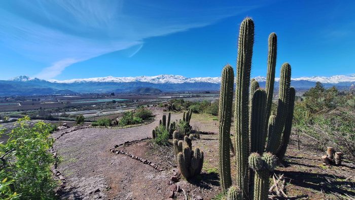 Inauguran sendero educativo en el cerro isla San Francisco de Curimón