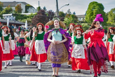 Festival "Carnaval del sur" en Puerto Varas