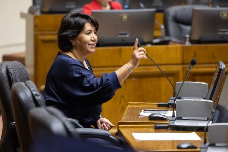 Senadora Provoste: proyecto que crea Ministerio de Seguridad “favorece modelo centralista”