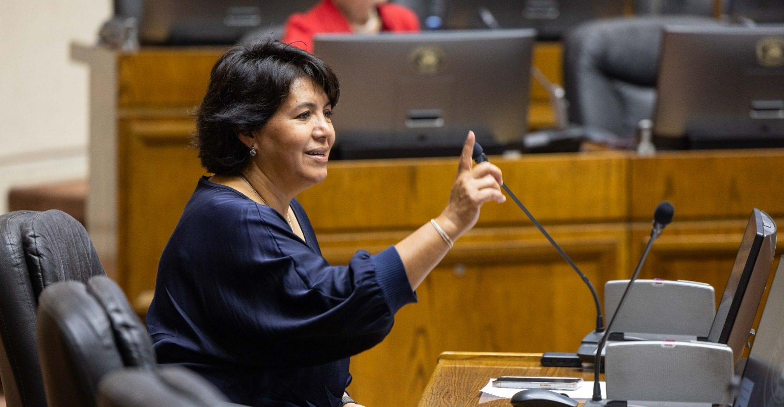 Provoste y la oposición: “Nos interesa fortalecer una mirada común del progresismo”