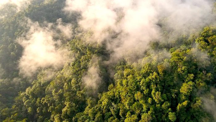 Chile frente al cambio climático: desafíos urgentes y soluciones sostenibles