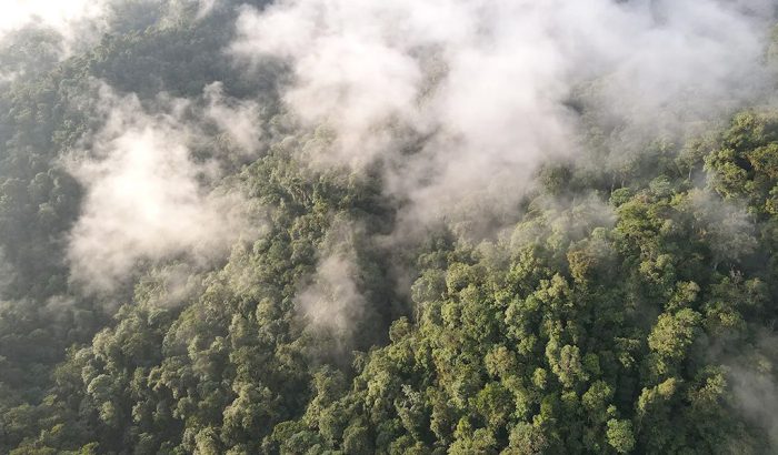 Los derechos de la naturaleza prevalecen nuevamente en Ecuador