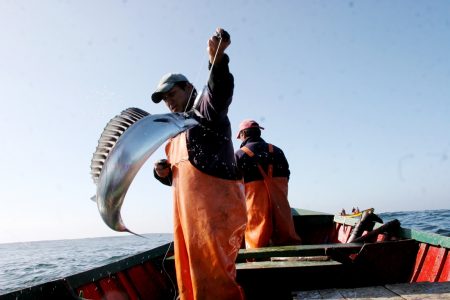 Julio Salas, subse de Pesca: "La ley que está emanando no tiene el desprestigio de la anterior"