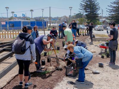 Realizan masiva plantación comunitaria de especies nativas para la nueva Costanera de El Tabo