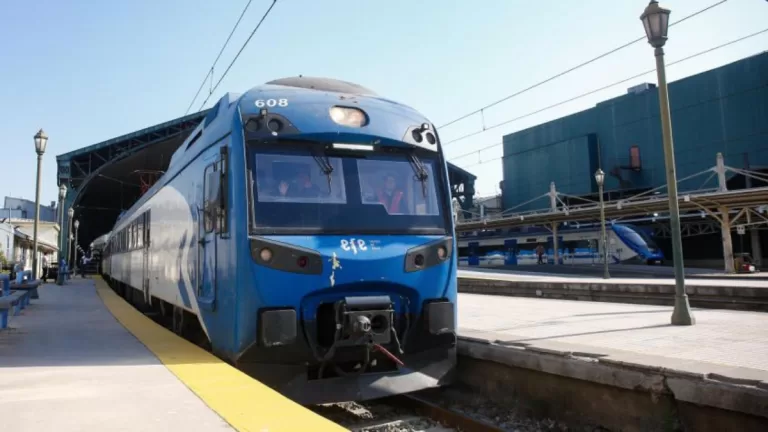 Tren Fluvial: el especial recorrido que conectará Santiago y Valdivia en un viaje temático