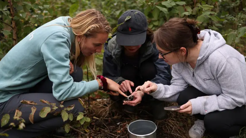 El método Miyawaki: cómo pequeños bosques urbanos ayudan a recuperar la biodiversidad en el mundo