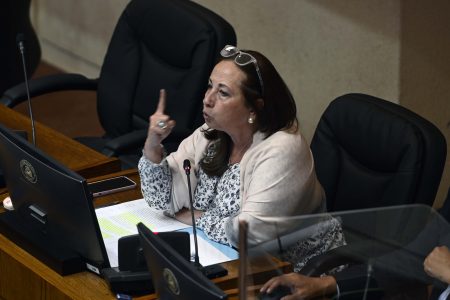 Senadora Sepúlveda y pensiones: "Podríamos haber tenido el 3-3 con el presidente Piñera"