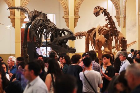 Muestra “Dinosaurios del Sur del mundo”