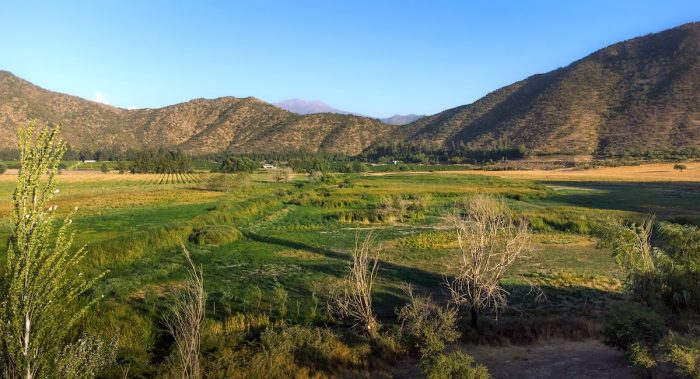 Lanzan concurso para startups que busquen impulsar la innovación en el turismo