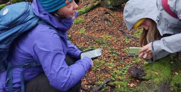 Riqueza de macrohongos y Líquenes confirma la singularidad ecológica de Patagonia