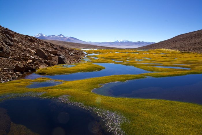 Destinos nacionales son destacados por su gestión sostenible en cumbre mundial de Green Destinations