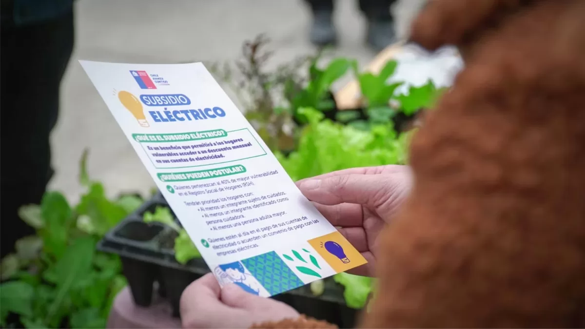 Subsidio Eléctrico: cómo se aplica el descuento en las boletas de la luz