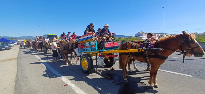 Especialistas llaman a cuidar el bienestar de los caballos en la procesión de Lo Vásquez