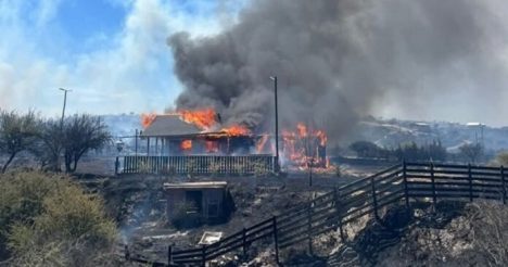 Conaf e incendio forestal en Litueche: "Ha sido complejo pero esperamos contenerlo hoy"