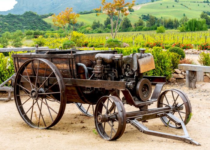 Cinsault chileno obtiene 95 puntos, el récord histórico para esta cepa a nivel mundial