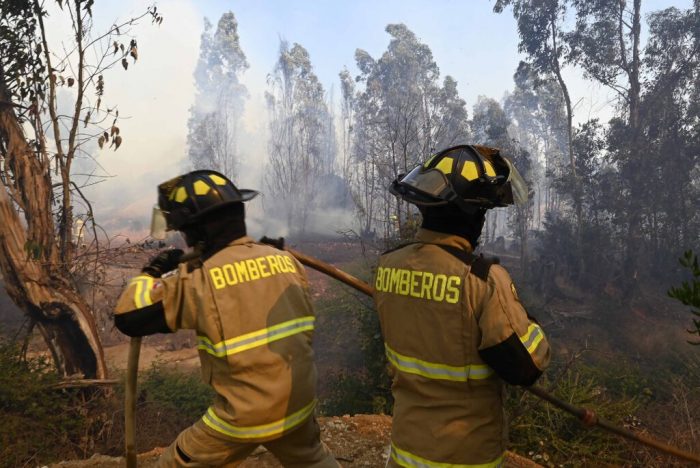 Incendios forestales amenazan temporada estival en Ñuble