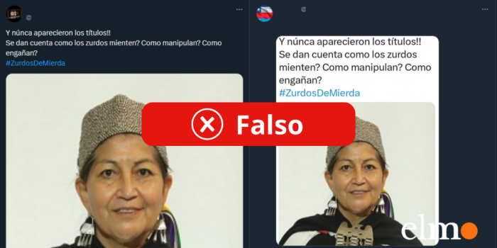 Es falso que Elisa Loncon no tiene título universitario