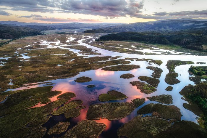 Un patrimonio natural y cultural: ¿qué significa que Valdivia sea una “Ciudad Humedal”?