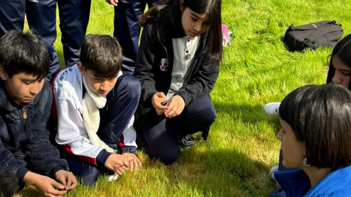 Crean guía gratuita que explora cómo la naturaleza de la ciudad ayuda al bienestar de la juventud