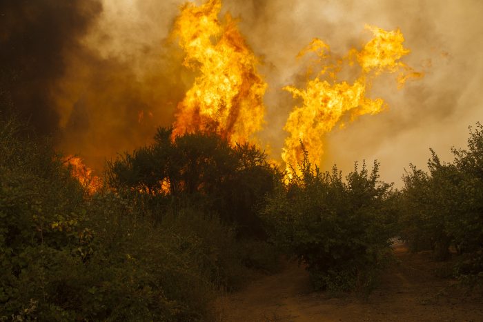 Consejos para prevenir incendios en esta temporada estival