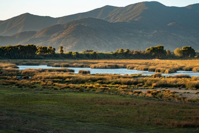 Tagua Tagua – Almahue: turismo rural en la región de O’higgins