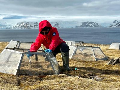 Científica creará innovadora plataforma con información del ADN de nuevas bacterias de la Antártica