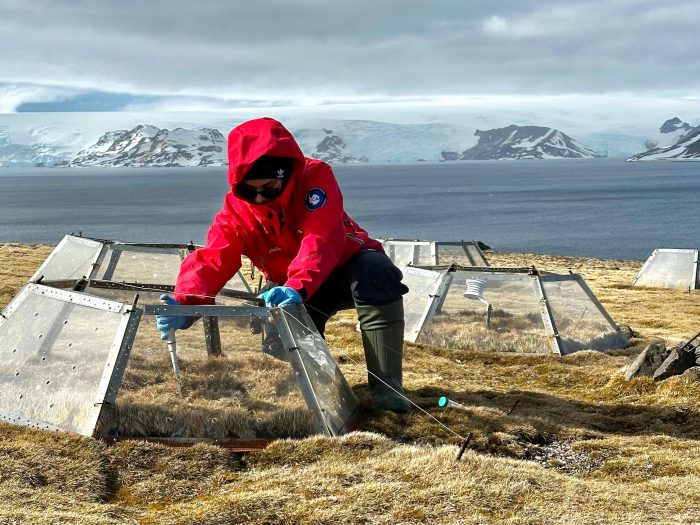 Científica creará innovadora plataforma con información del ADN de nuevas bacterias de la Antártica