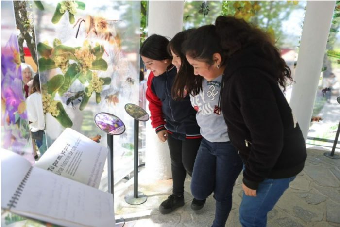 Ministerio de Ciencia entregará 1.100 millones de pesos a proyectos de divulgación científica