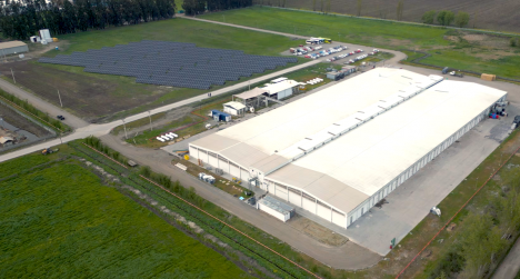 Parque fotovoltaico generará 30% del consumo energético de empresa agroalimentaria en Paine