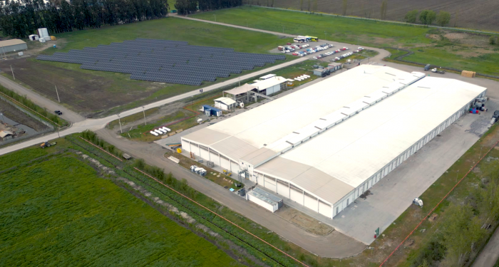 Parque fotovoltaico generará 30% del consumo energético de empresa agroalimentaria en Paine