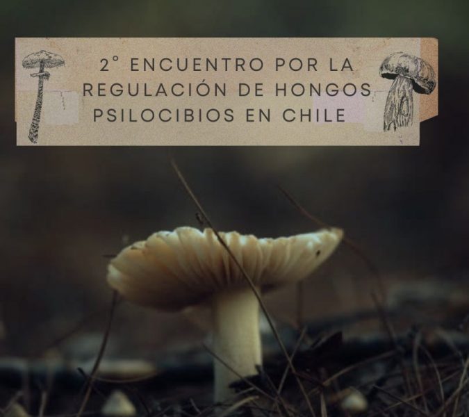 Segundo Encuentro Nacional para la Regulación del Uso Terapéutico de los Hongos Psilocibios