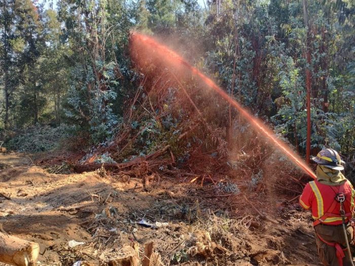 15/15: Los 30 días críticos para la temporada de incendios 