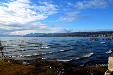 Consejo de Ministros aprueba plan de descontaminación para la cuenca del lago Villarrica