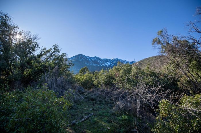 Parque Cantalao abre sus puertas e inaugura nuevo circuito de actividades para sus visitantes