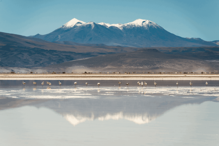 ¿Dónde pasar tu luna miel en Chile?: Conoce tres destinos impresionantes para una experiencia única