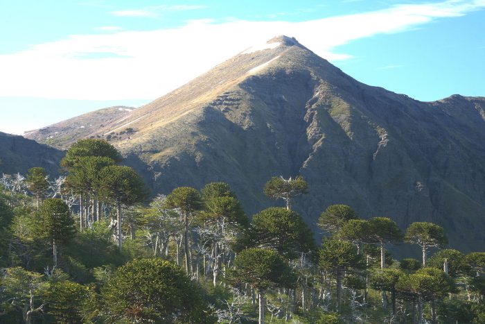 Biobío: lanzan catálogo digital de turismo aventura para el Verano 2025